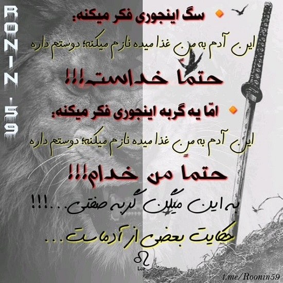 عکس آدم سگ صفت