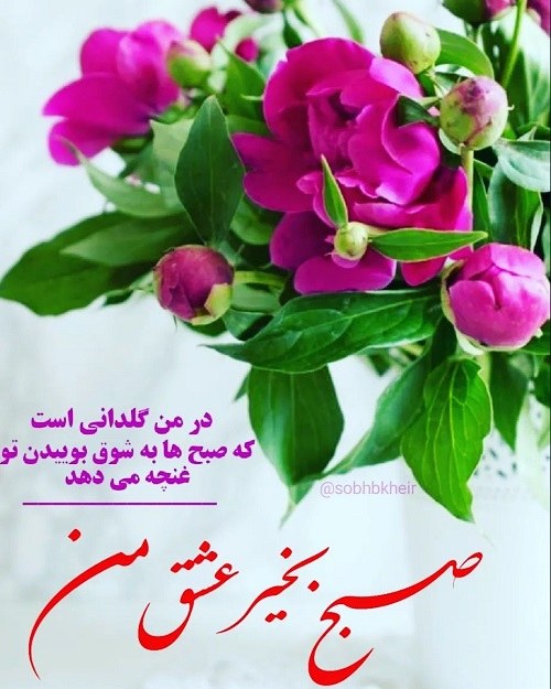 عکس صبح بخیر عشق من