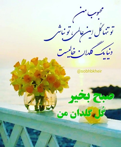 عکس عاشقانه صبح بخیر گل گلدان من