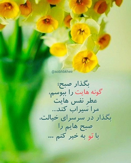 عکسهای صبح بخیر نفسم