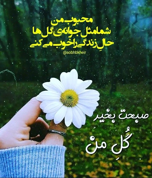 عکس نوشته صبحت بخیر گل من