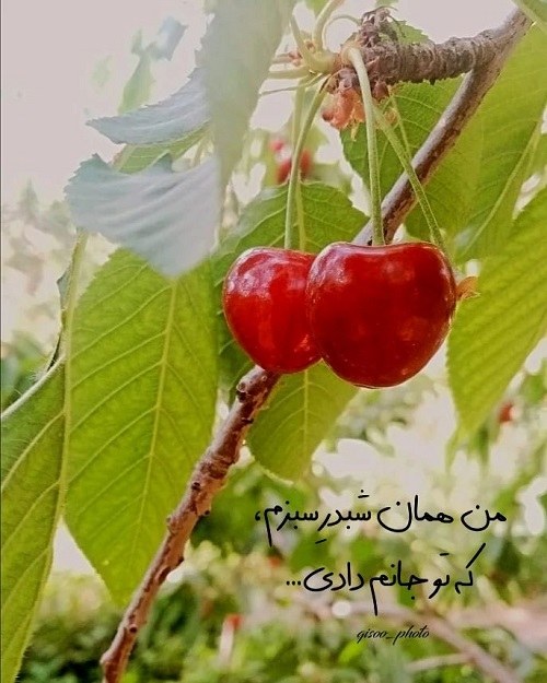 استوری خاص اینستا منظره ای