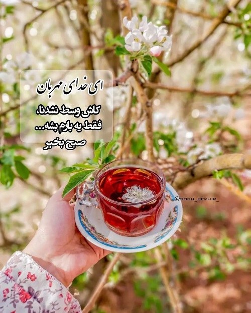 استوری صبح بخیر خدایی