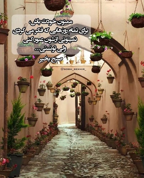 استوری صبح بخیر برای واتساپ