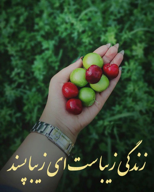 استوری زندگی زیباست ای زیبا پسند