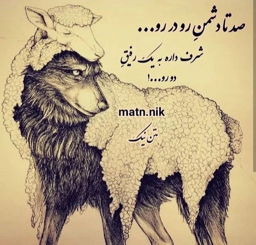 عکس نوشته برای وضعیت واتساپ رفیق دورو