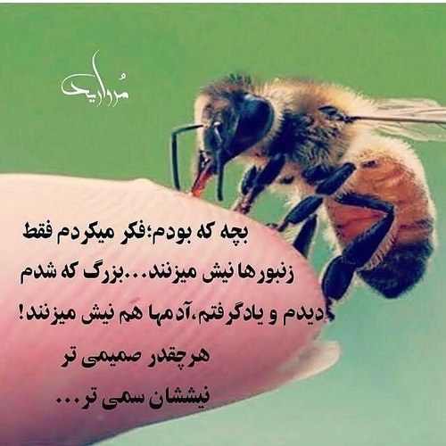 عکس نوشته شخصیتی خفن