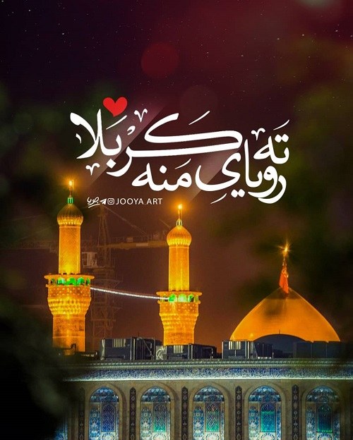 استوری حرم امام حسین ع