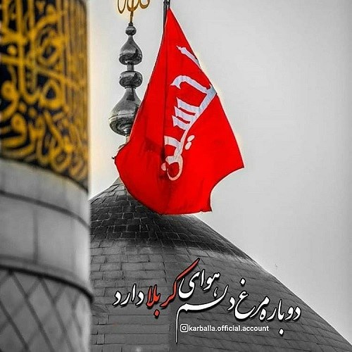 عکس حرم امام حسین در روز