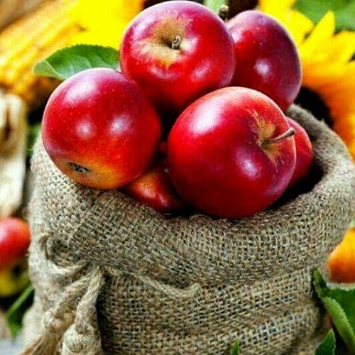 عکس میوه های بهشت