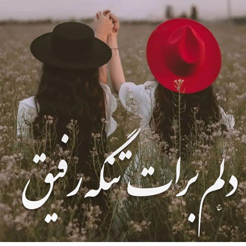 عکس نوشته دلم برات تنگه رفیق