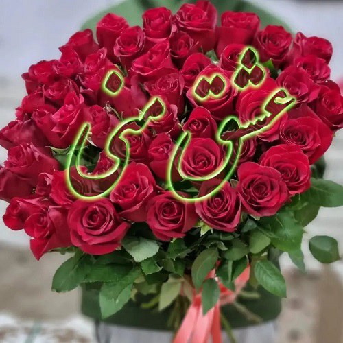 عکس گل عشقی زیبا