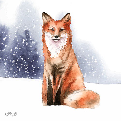 عکس روباه برای رنگ آمیزی