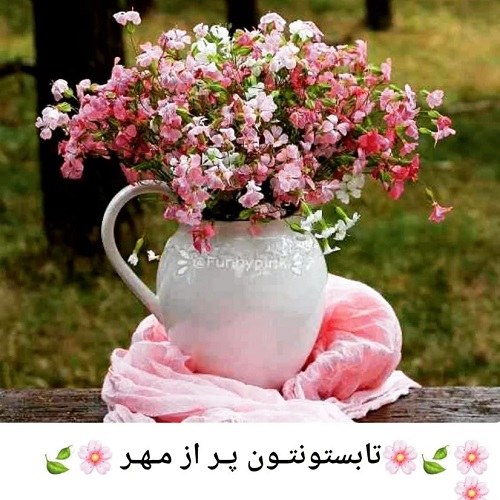 عکس تابستان