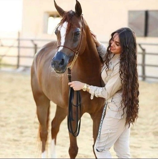 عکس یک دختر با اسب زیبا برای پروفایل
