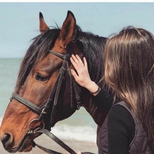 عکس اسب زیبا دختر