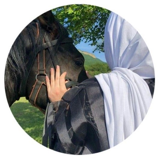 عکس اسب زیبا برای پروفایل دخترانه خوشگل