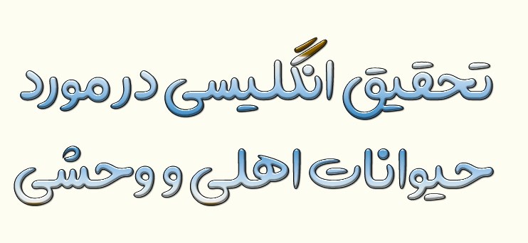 تحقیق انگلیسی در مورد حیوانات اهلی و وحشی با ترجمه فارسی