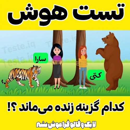 معما عکس ، عکس نوشته چالش معما