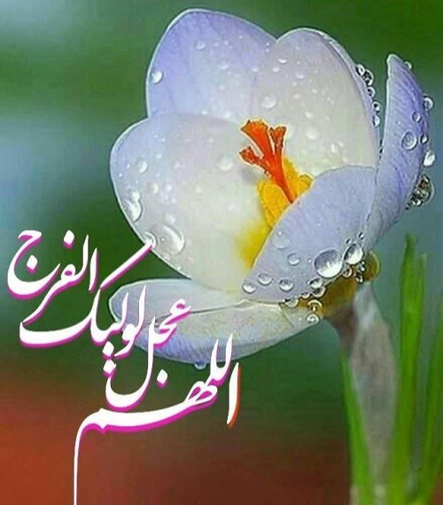 عکس نوشته زیبا اللهم عجل لولیک الفرج