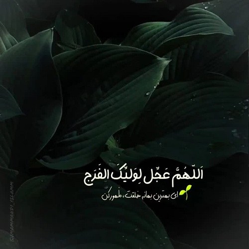 عکس نوشته زیبا اللهم عجل لولیک الفرج 1402
