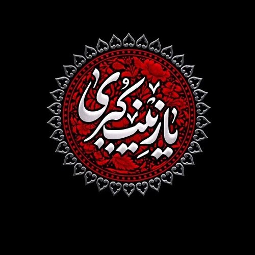 عکس نوشته یا زینب کبری