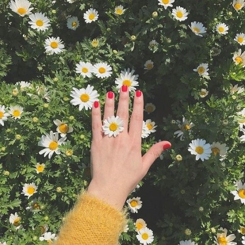 منظره بهاری عاشقانه + دست روی گل های نرگس و زرد رنگ زیبا