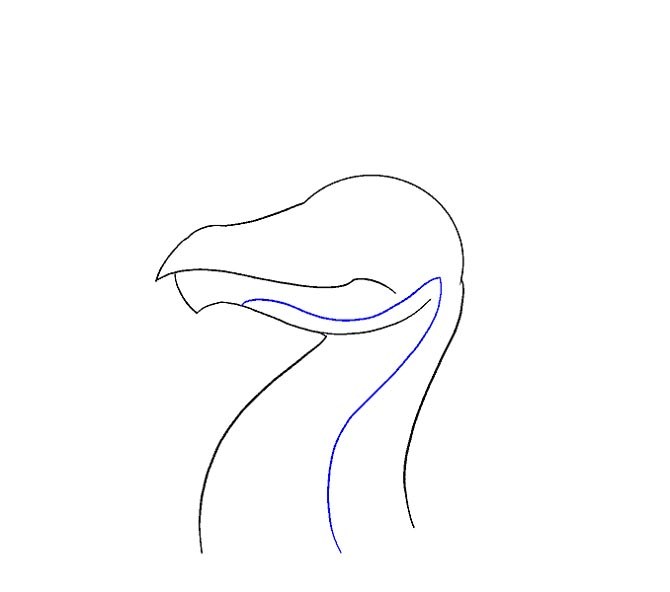 نقاشی سر اژدها برای کودک مرحله دهم