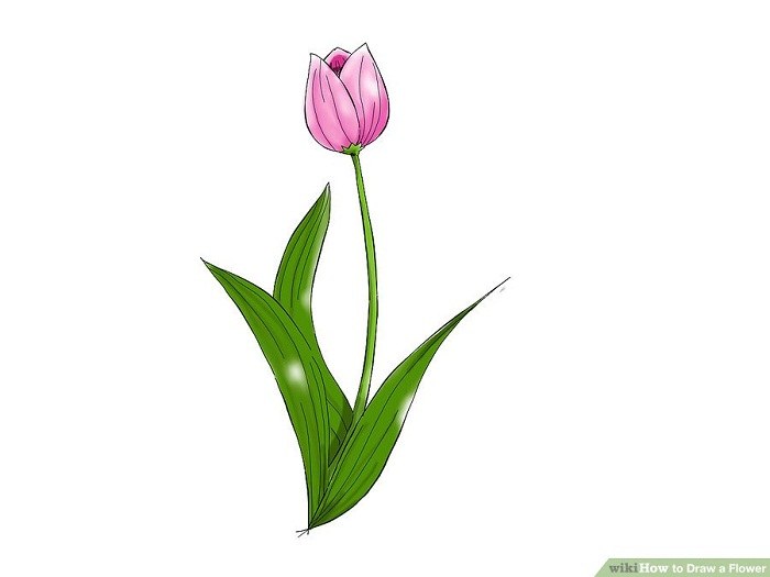 رنگ آمیزی نقاشی گل لاله