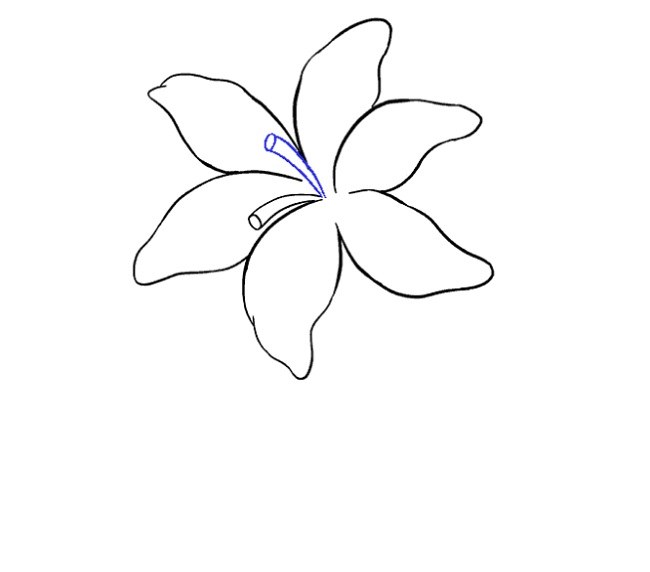 نقاشی گل سوسن برای بچه ها مرحله دهم