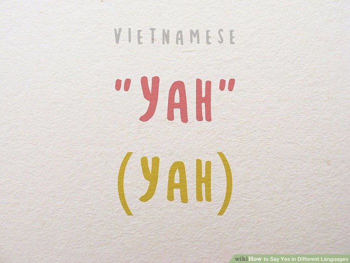 بله گفتن در زبان ویتنامی