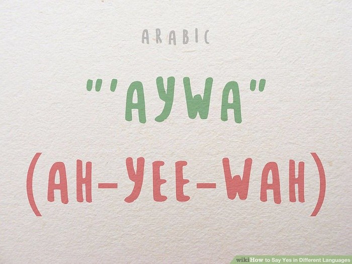 بله گفتن به زبان عربی