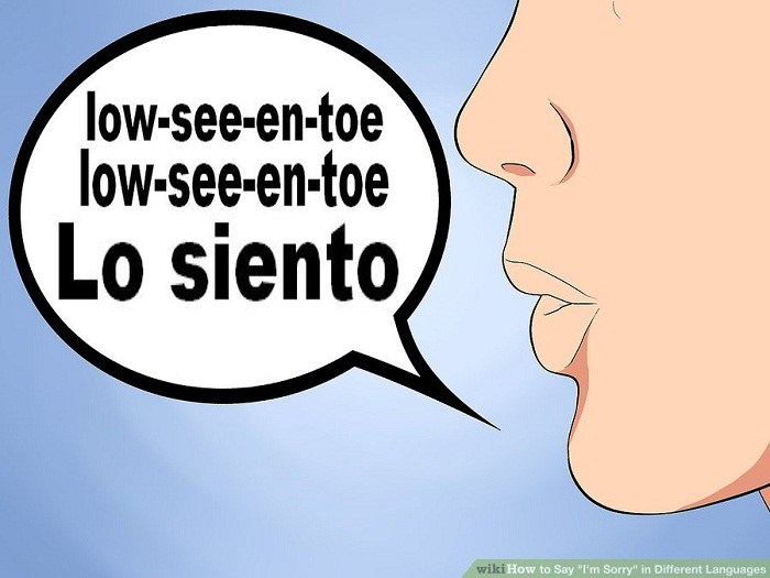 تلفظ بیان تاسف به زبان اسپانیایی