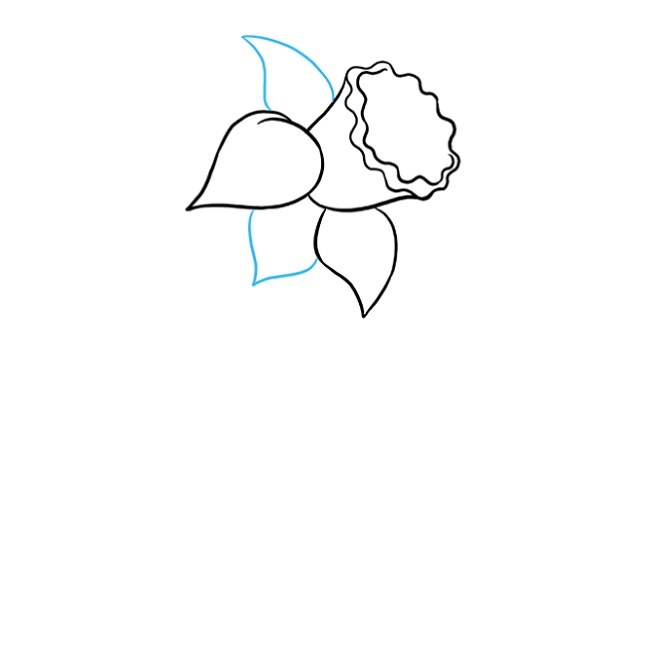 نقاشی کودکانه گل نرگس مرحله چهارم