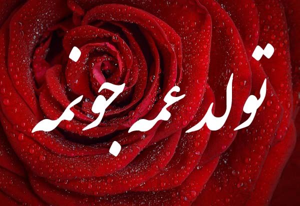 عکس نوشته تولد عمه جونمه