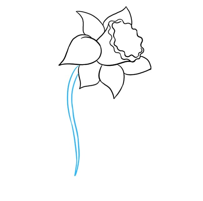 نقاشی گل نرگس برای کودکان مرحله ششم