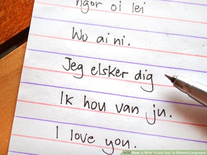 دوستت دارم به زبان دانمارکی