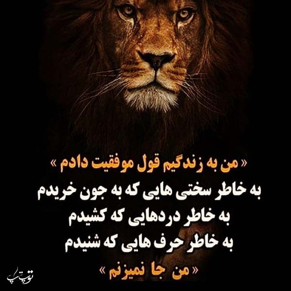 عکس نوشته های خواستن و توانستن