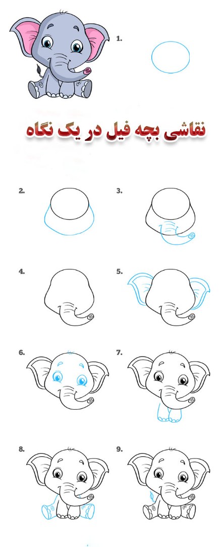 آموزش نقاشی بچه فیل در یک عکس