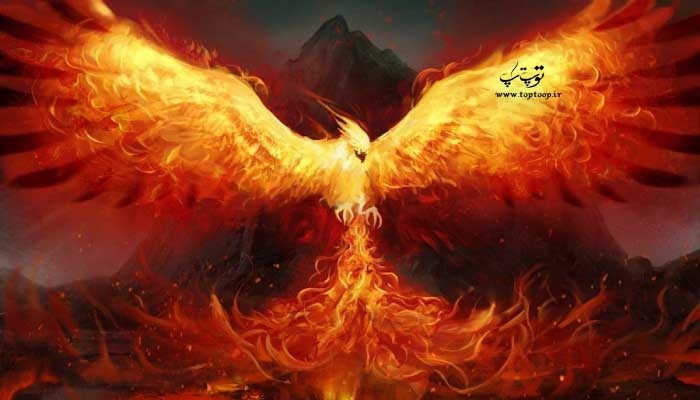 تعبیر خواب ققنوس در حالت های مختلف