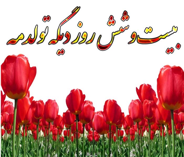 عکس نوشته 26 روز دیگه تولدمه