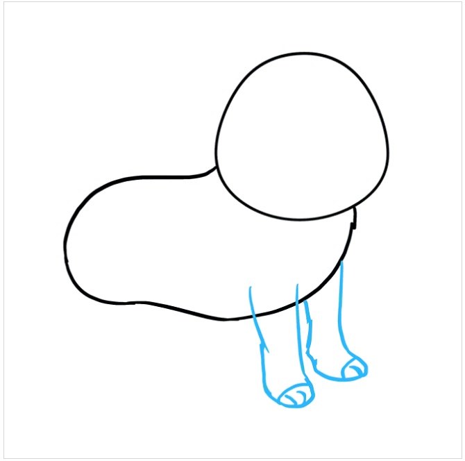 آموزش نقاشی سگ پاکوتاه مرحله سوم