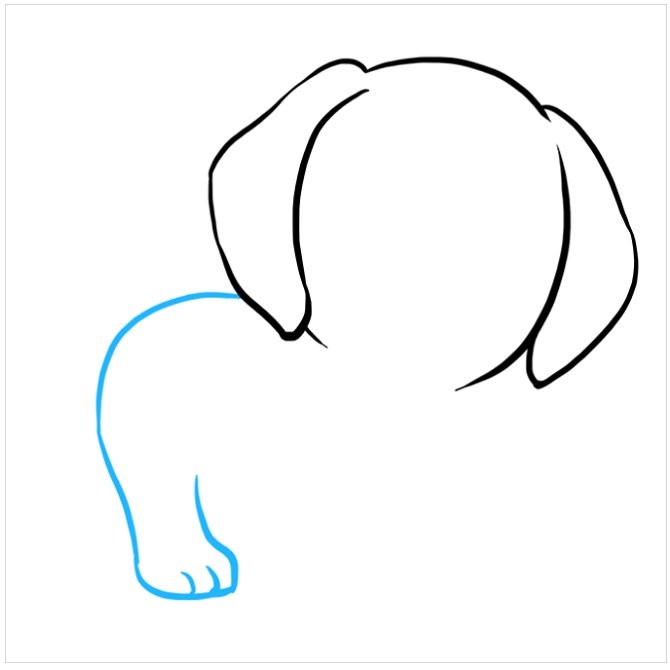آموزش نقاشی توله سگ پاپی مرحله سوم