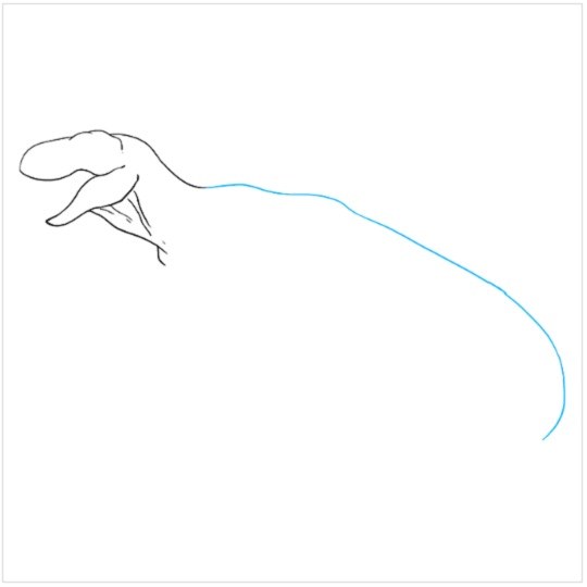 نقاشی کودکانه دایناسور مرحله چهارم