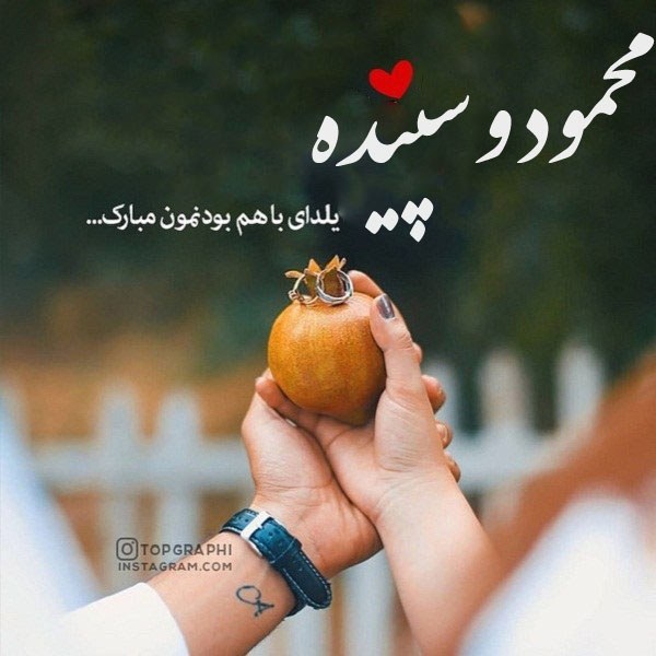 تبریک شب یلدا محمود و سپیده