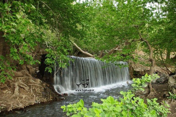 شعر همدان