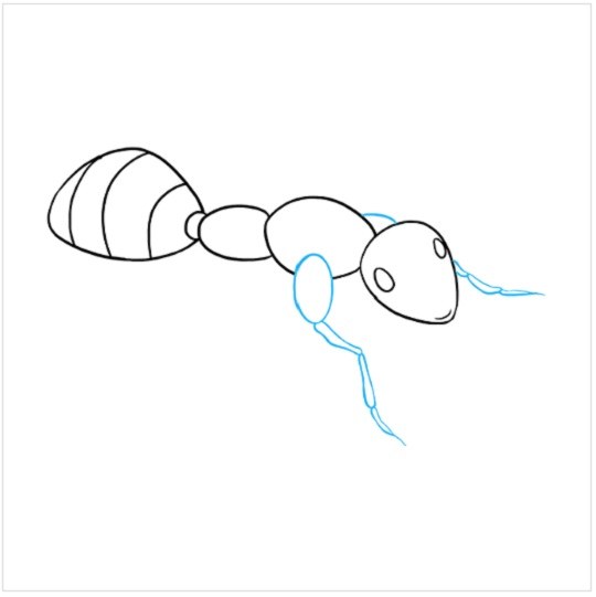 آموزش نقاشی مورچه مرحله ششم