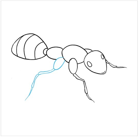 نقاشی آسان مورچه مرحله هفتم