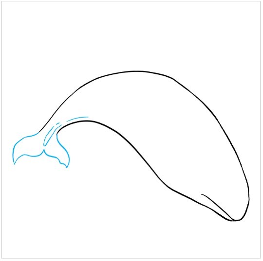 آموزش نقاشی کودکانه نهنگ مرحله سوم