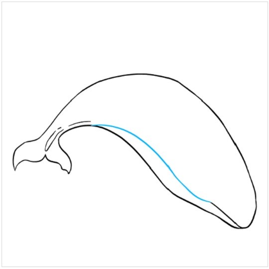 نقاشی آسان نهنگ مرحله چهارم